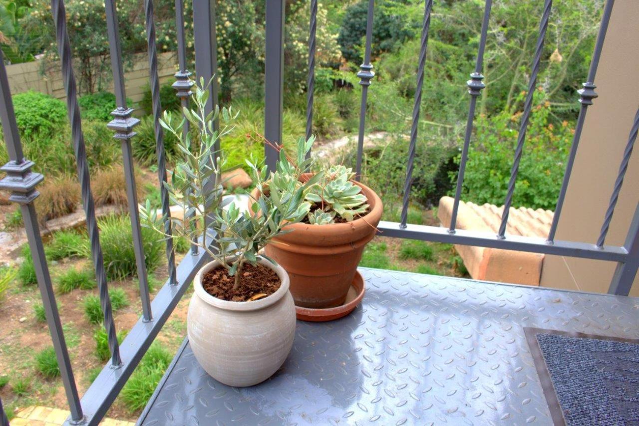 Wild Olive Executive Suite Johannesburg Exterior photo